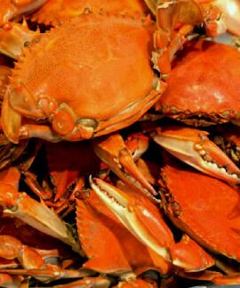 Agar Terasa Gurih dan Manis, Rebus Kepiting Dengan Cara Ini