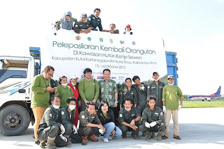 BCA Ikut Melepasliarkan Sembilan Orangutan di Hutan Kehje Sewan, Kalimantan Timur