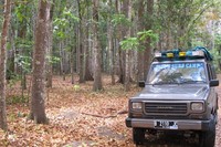 Anda bisa naik mobil atau sepeda motor untuk tiba di Sandengan. Sebaiknya pakai mobil jeep, karena jalanan menuju ke Sandengan masih alami dan berupa bebatuan tanpa aspal yang mulus (Afif/detikTravel)