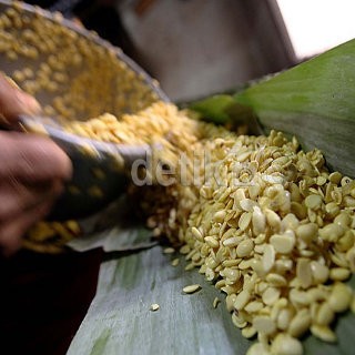 Bos Bulog Curhat Kesulitan Dapat Kedelai Lokal