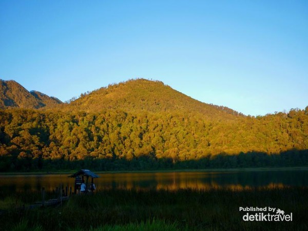 Kisah Daun Jancukan Di Argopuro