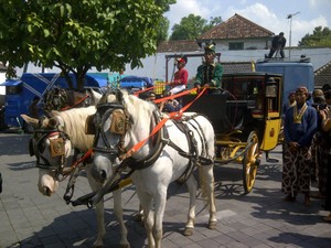 Catat! Ini Rute Kereta Kuda Royal Wedding Yogya