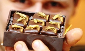 Mau Mencicipi Cokelat dengan Belalang dan Ulat Emas?