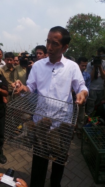 5 Suara Jokowi Soal Monyet