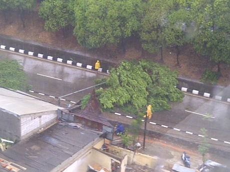 Hujan Badai Tumbangkan Pohon di Jl TB Simatupang, Jalan Tertutup