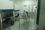 Yuk, Intip Laboratorium Pengolahan Stem Cell Pertama di Indonesia