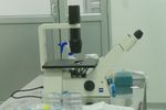 Yuk, Intip Laboratorium Pengolahan Stem Cell Pertama di Indonesia