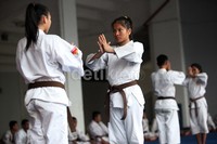 Sebelumnya, pada SEA Games di Palembang 2011 lalu, kontingen kempo berhasil meraih 8 medali emas, 7 perak, dan 1 perunggu.