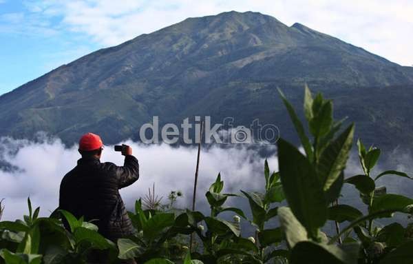Status Merapi Aktif Normal, Pendaki Hanya Boleh Sampai Pasar Bubar