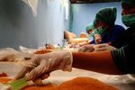 Menengok Cara Pembuatan Gula Semut Organik