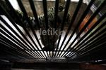Melihat Penangkaran Macan Tutul Jawa