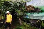 Melihat Penangkaran Macan Tutul Jawa