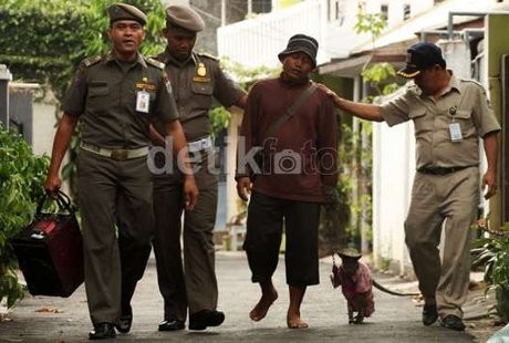 Soal Razia Topeng Monyet, Ini Komentar Dokter dan Ahli Primata