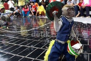 Topeng Monyet Banyak yang Infeksi Gusi, Dikhawatirkan Rabies