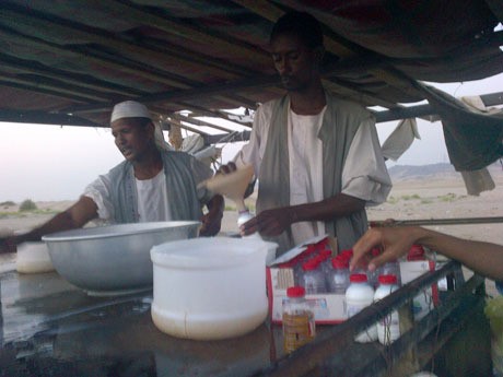 Nikmatnya Diguyur Susu Segar Unta