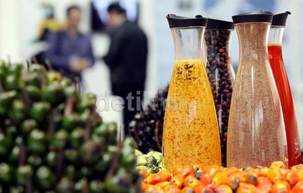 15% Produksi Minyak Sawit Dunia Bersertifikat RSPO