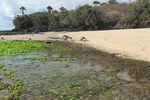 Pantai Tiga Warna di Banyuwangi