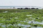 Pantai Tiga Warna di Banyuwangi
