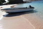 Uniknya Pantai Pink di Pulau Komodo