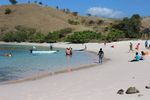 Uniknya Pantai Pink di Pulau Komodo