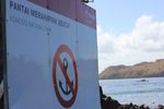 Uniknya Pantai Pink di Pulau Komodo