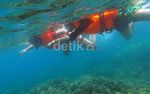 Melihat Keindahan Bawah Laut di Lagoon Cabe