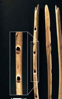 5 Alat Musik Tertua di Dunia yang Pernah Ditemukan