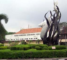 Jonet, Onta Koleksi KBS Mati Gagal Ginjal