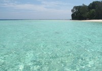 Begitu pertama kali tiba di Pulau Yeben, wisatawan langsung dihadapkan dengan air laut yang sangat jernih. Saking jernihnya, Anda bisa melihat pasir putih di dasar laut (Putri/detikTravel)