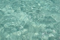 Sampah pun tidak terlihat di perairan Yeben. Tanpa perlu menyelam, wisatawan juga sudah bisa melihat ikan aneka warna berenang di sana (Putri/detikTravel)