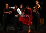 Pertunjukkan Tari Flamenco