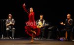 Pertunjukkan Tari Flamenco