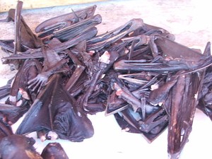Tomohon Punya Kuliner Ekstrem: Tikus dan Ular