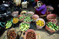     Seorang pedagang buah menjajakan dagangannya di Pasar Induk Kramatjati, Jakarta, Kamis (313/10/2013).