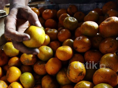 Harga Buah Kembali Melonjak
