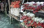 Aneka Hidangan Vegetarian di Jejamuran