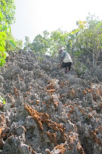 Satu hal yang perlu diingat wisatawan, jangan nekat mendaki pulau karang tanpa ditemani pemandu. Ini demi keamanan Anda juga (Putri/detikTravel)