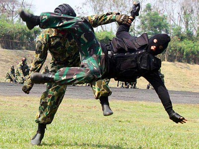 Prajurit Marinir Unjuk Kebolehan Beladiri