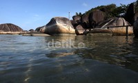 Birunya air laut yang mengelilingi batu-batu juga akan menambah kekaguman Anda pada tempat ini.