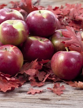Apel Fuji atau Granny Smith yang Anda Suka? Kepribadian Anda Terbaca Lewat Apel Favorit!