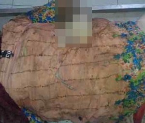 Ini Baju pada Mayat Wanita Cantik Dalam Koper