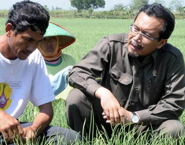 Mentan Suswono Minta Petani Jual Kedelai ke Bulog