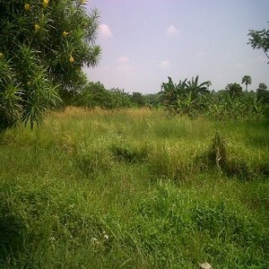 Perusahaan Ini Beli Tanah di Karawang Rp 502 M, Dijual Lagi Rp 1 T