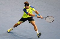 David Ferrer melakukan smash saat melawan Novak Djokovic. Reuters/Charles Platiau.
