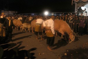 Keraton Solo Gelar Kirab Malam 1 Suro Tanpa Pusaka