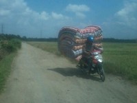 Beberapa lapis kasur terlihat 'rebahan' di jok motor bebek ini. Pengendara ini tidak menghiraukan keselamatan dirinya dan orang lain. (Bayu D Sulistiyanto/via).