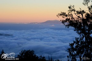 2 Gunung Paling Menawan di Jawa Timur