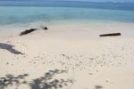 Pantai Waiwo, Primadona di Raja Ampat