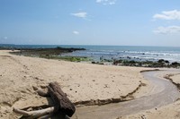 Selain Pantai G-Land, Pantai Pancur menjadi salah satu objek wisata di Taman Nasional Alas Purwo. Lokasinya sekitar 5 km dari Pos Rawabendo, pintu masuk taman nasional tersebut (Afif/detikTravel)