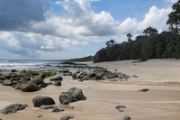 Pantai Pancur punya bentangan pasir putih yang panjang. Pantainya pun landai dan aman untuk dikunjungi anak-anak hingga orang dewasa (Afif/detikTravel)